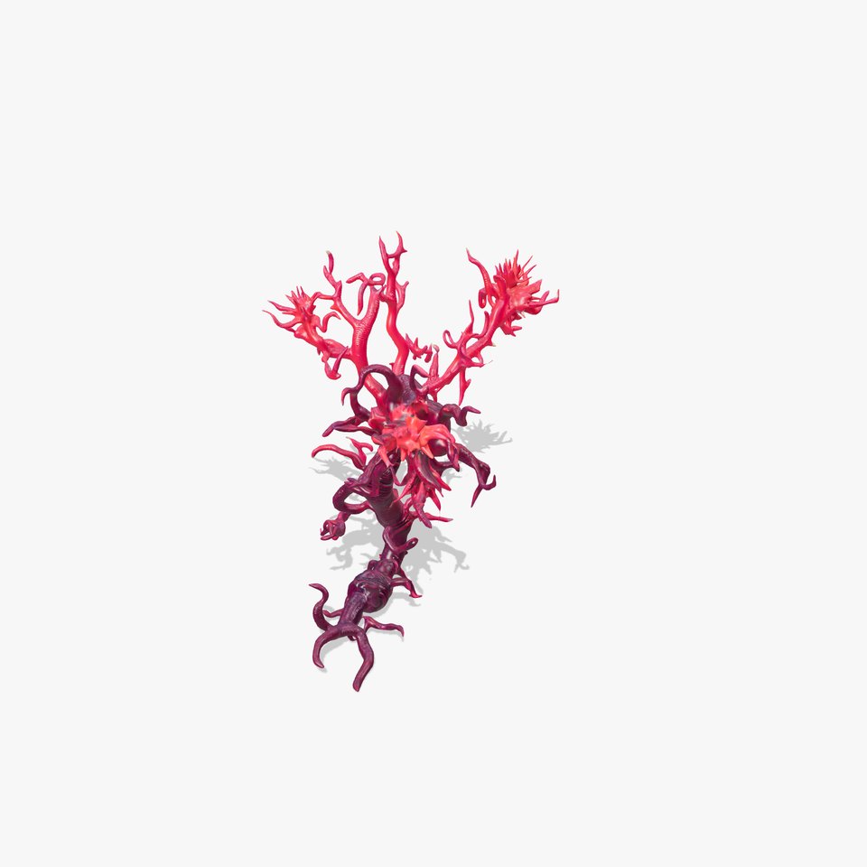 Vibrant Coral Tree model pack